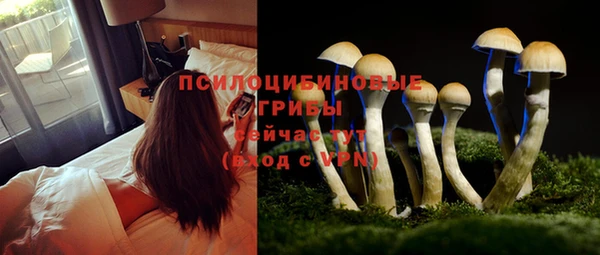 ПСИЛОЦИБИНОВЫЕ ГРИБЫ Беломорск
