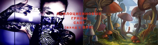 ПСИЛОЦИБИНОВЫЕ ГРИБЫ Беломорск