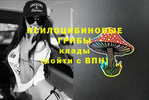 ПСИЛОЦИБИНОВЫЕ ГРИБЫ Беломорск