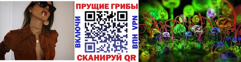 сколько стоит Горняк Псилоцибиновые грибы ЛСД